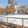 Devon Ice Rink