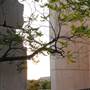 Oklahoma City National Memorial & Museum