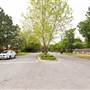 Mesta Park Historical Neighborhood