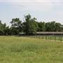 NFL Farms