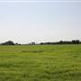 NFL Farms