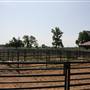 NFL Farms