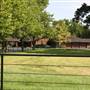 NFL Farms