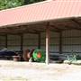 NFL Farms
