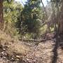 Martin Nature Park