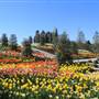 Tulsa Botanic Garden