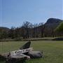 Camp Y'shua