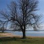 Lake Lawtonka
