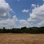 Stinchcomb Wildlife Refuge
