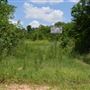Stinchcomb Wildlife Refuge