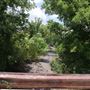 Stinchcomb Wildlife Refuge
