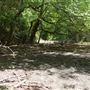 Stinchcomb Wildlife Refuge