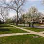 Mesta Park Historical Home