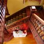 Mesta Park Historical Home