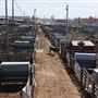 Oklahoma National Stockyard Exchange