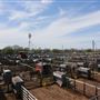 Oklahoma National Stockyard Exchange