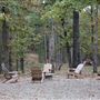 Ambitious Dreams Cabins