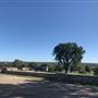 Will Rogers Memorial Museum