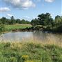 Hunt Mill Hollow Ranch