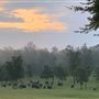 Hunt Mill Hollow Ranch