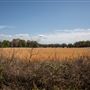 E 770 Rd Landscape