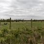 W 675 Rd