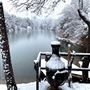 Meadow Lake Ranch