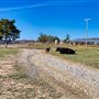 Meadow Lake Ranch