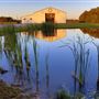 Greenleaf Barn