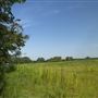Rydell Ranch
