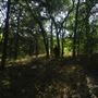 Rydell Ranch
