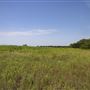 Rydell Ranch