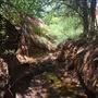 Rydell Ranch