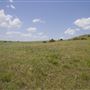 Rydell Ranch