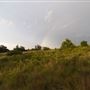 Rydell Ranch
