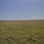 Rydell Ranch