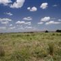 Rydell Ranch