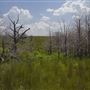 Rydell Ranch