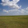 Rydell Ranch