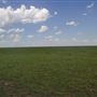 Rydell Ranch