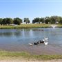 Lake Ponca Shelter Houses and Duck Park
