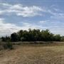 Ward Ranch