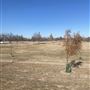 Eldon Lyon Park
