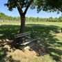 Nellis Vineyards