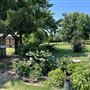 Nellis Vineyards