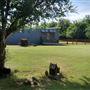 McKinney Seasonal Christmas Tree Farm & Pasture