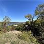 Chandler Park