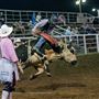 Will Rogers Memorial Rodeo