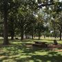 Tilghman Park