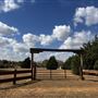 Tipton Horse Ranch
